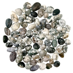 Tree Agate Tumbled Stones
