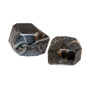 Polished Smooth Garnet Polygon