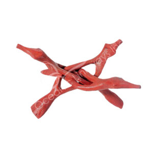 Wood Stand with 4 Branche Legs