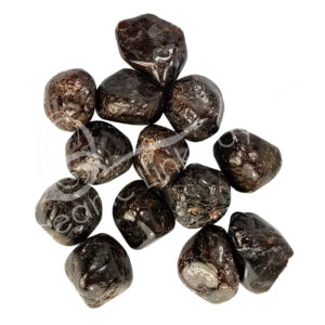 Garnet A Tumbled Stones
