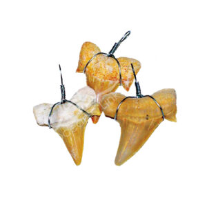 Shark Tooth Wire Wrap Pendant