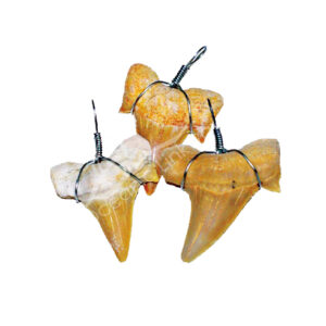 Shark Tooth Wire Wrap Pendant