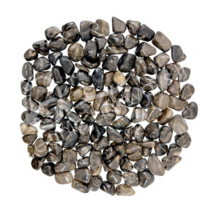 Hand Polished Stromatolite Tumbled Stones
