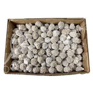 Desert Rose Specimen