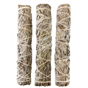 White Sage Smudge Stick