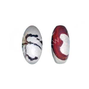 SHIVA LINGAM - 2 TONES 2"