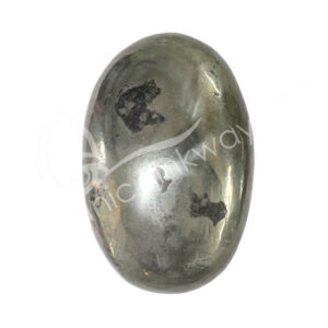 Polished Pyrite with Black Magnetite Palm Stone
