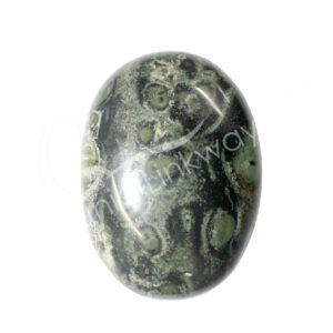 Polished Kambaba Jasper Palm Stone