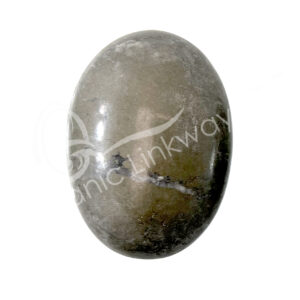 Polished Golden Pyrite Palm Stone