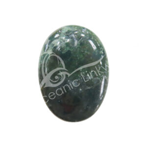 Polished Bloodstone Palm Stone