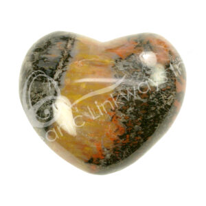 Polished Petrified Wood Heart