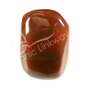 Polished Carnelian Free Shape