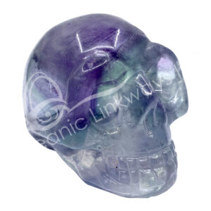Fluorite Skull