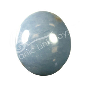Polished Angelite Palm Stone