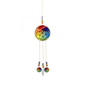 Chakra Seed of Life Wood Printed Hanging with Crystal AB Point
