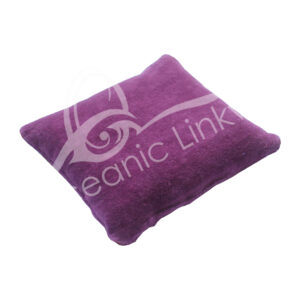 Purple Velvet Cushion