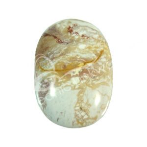 Polished Dolomite Palm Stone