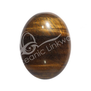 Polished Tiger Eye Palm Stone