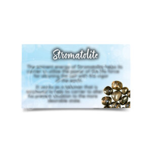 (CLOSE OUT) MARKETING CARD - STROMATOLITE (PK 50) 2x3"
