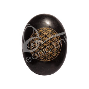 Black Tourmaline with Gold Flower of Life Design Palm Stone