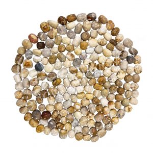 Fossil Coral Tumbled Stones