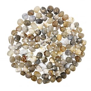 Hand Polished Dendritic Opal Tumbled Stones