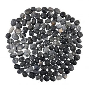 Crinoids Fossil Tumbled Stones