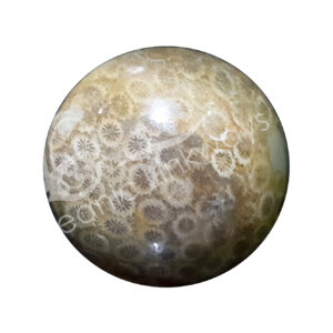 Polished Fossil Coral Sphere