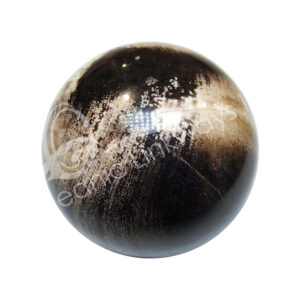 Indonesian Petrified Wood Sphere