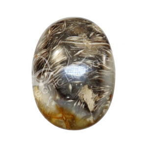 Polished Feather Agate Palm Stone