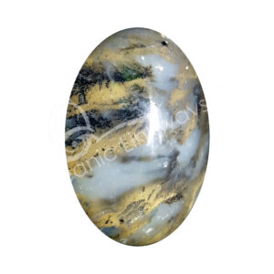 Polished Dendritic Opal Palm Stone