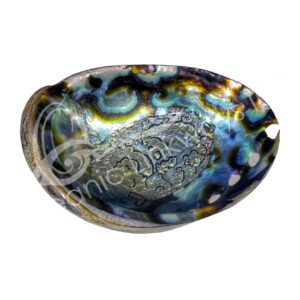 Polished Abalone on Both Sides