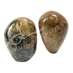 Stromatolite Free Shape