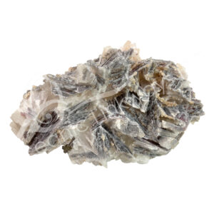 SPECIMEN - UNIQUE LOT 4-9"