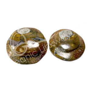 (CLOSE OUT) FOSSIL - TAHMONTE RAISED 2"