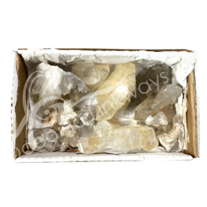 Crystals with Inclusions Point