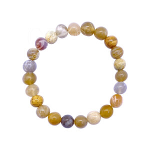 Fossil Coral Bracelet (8-8.5 mm Beads)