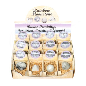 Rainbow Moonstone Pop-Up Display Set of 12