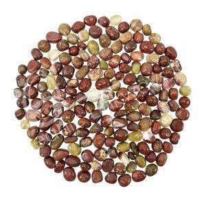 Red Petrified Wood Tumbled Stones