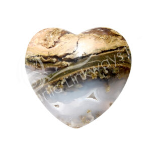 Opalized Petrified Wood Heart