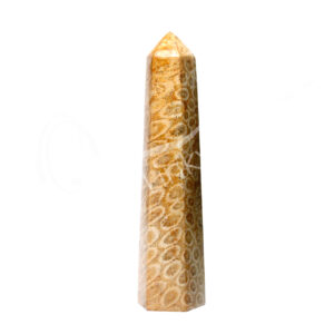 Polished Fossil Coral Obelisk 6 Sides