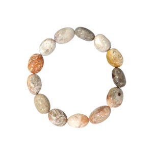 Fossil Coral Tumbled Stones Bracelet