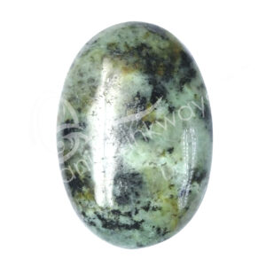 Polished African Turquoise Palm Stone