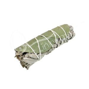 White Sage and Eucalyptus Smudge Stick