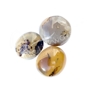 Polished Dendritic Agate Pebbles