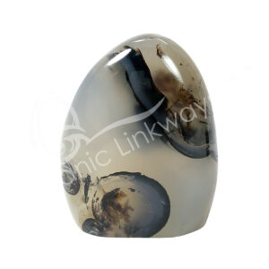 FREE SHAPE - AGATE, DENDRITIC 1ST QUALITY 3"