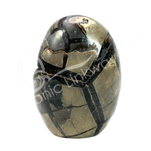 Septarian Jasper with Druse Free Shape