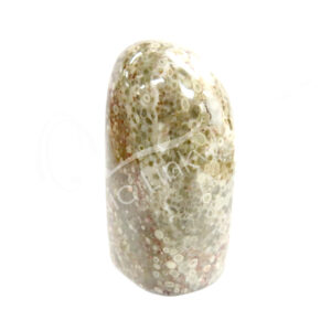 Polished White Leopard Skin Jasper Free Shape
