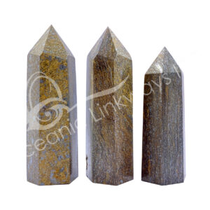 Polished Bronzite Obelisk 6 Sides