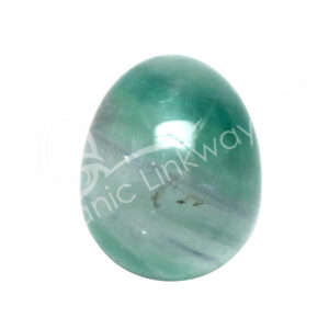 (CLOSE OUT) EGG - FLUORITE 1.75"
